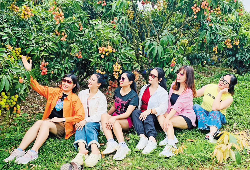 Nhà vườn hút khách tham quan